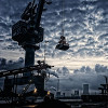 crane